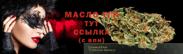 индика Снежинск