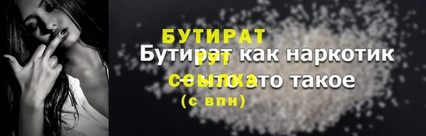 индика Снежногорск