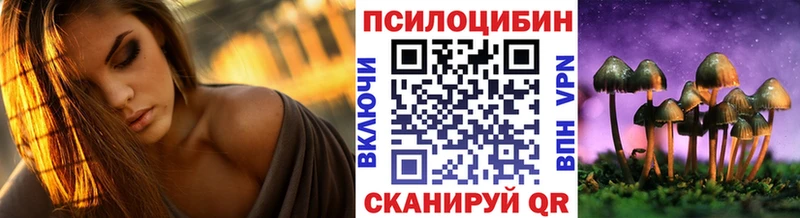 Псилоцибиновые грибы мицелий  Бодайбо 