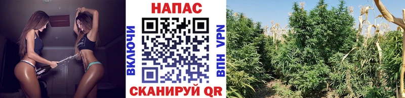 KRAKEN рабочий сайт Бодайбо Каннабис Ganja